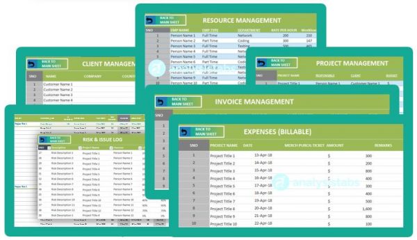 Ultimate Excel Project Management Template - Standard Version ...