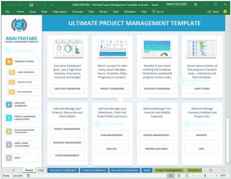 Ultimate Excel Project Management Template - Standard Version ...